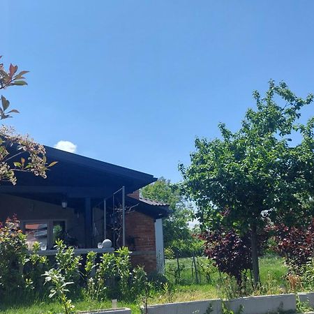 Apartament Kod Ane Belavici Zewnętrze zdjęcie