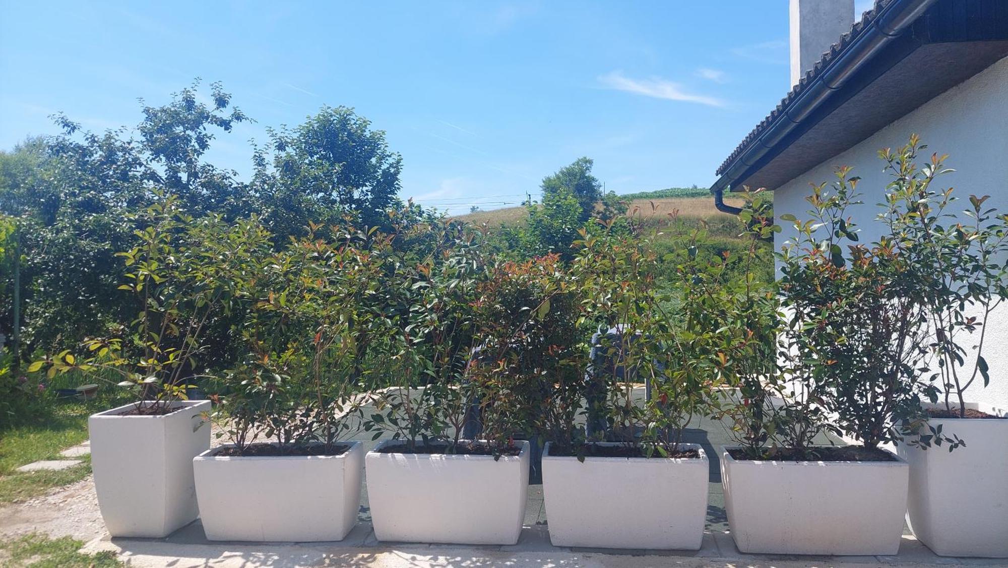 Apartament Kod Ane Belavici Zewnętrze zdjęcie