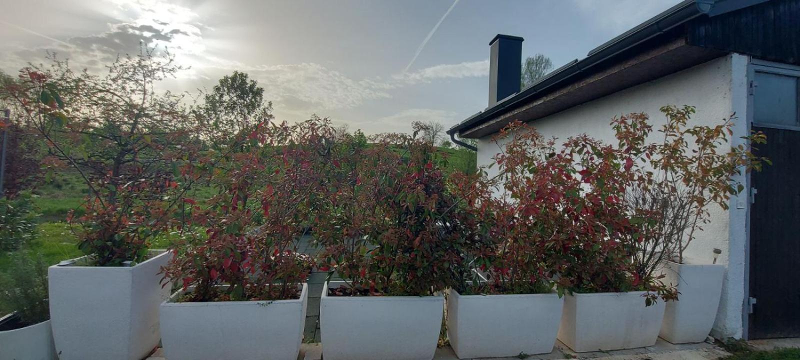 Apartament Kod Ane Belavici Zewnętrze zdjęcie